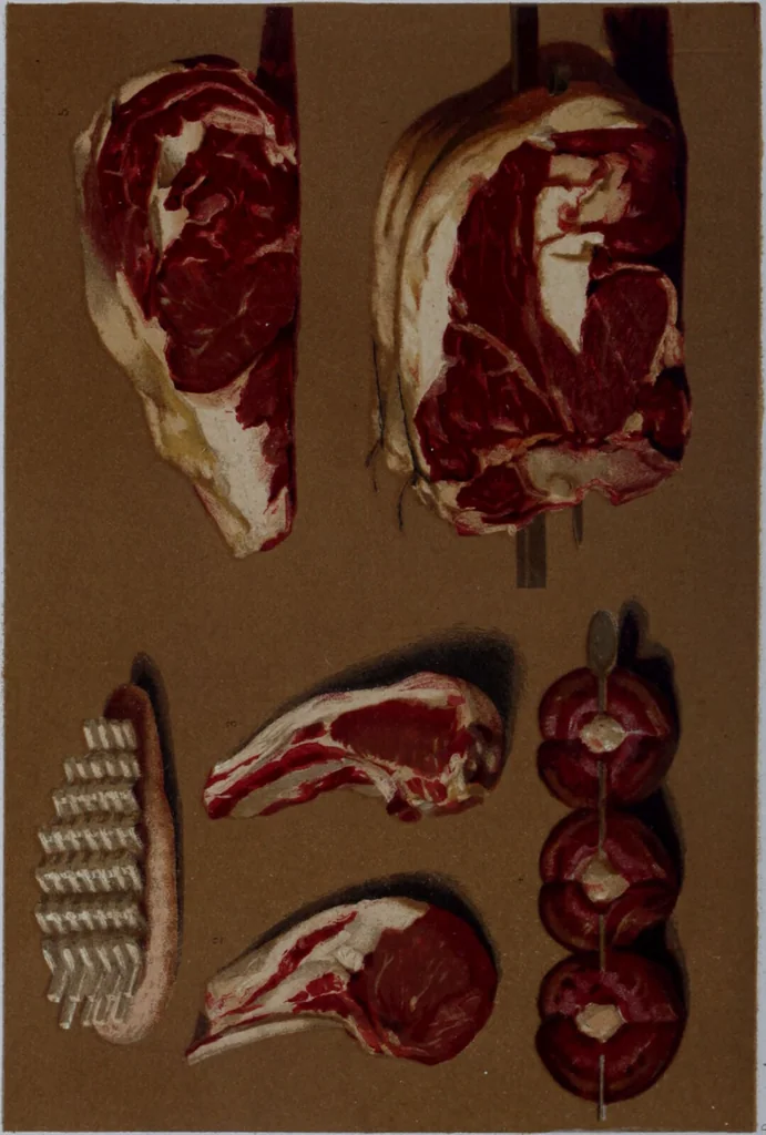 An illustration from The royal cookery book (le livre de cuisine) / by Jules Gouffé ; translated from the French and adapted for English use by Alphonse Gouffé ... comprising domestic and high-class cookery, illustrated with sixteen large plates printed in colours, and one hundred and sixty-one woodcuts from drawing from nature by E. Ronjat., 1868, leaf 142