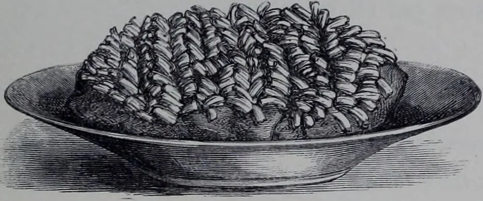 An illustration from The royal cookery book (le livre de cuisine) / by Jules Gouffé ; translated from the French and adapted for English use by Alphonse Gouffé ... comprising domestic and high-class cookery, illustrated with sixteen large plates printed in colours, and one hundred and sixty-one woodcuts from drawing from nature by E. Ronjat., 1868, leaf 143