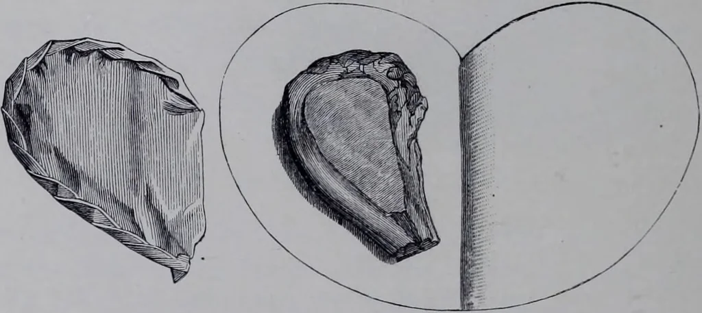 An illustration from The royal cookery book (le livre de cuisine) / by Jules Gouffé ; translated from the French and adapted for English use by Alphonse Gouffé ... comprising domestic and high-class cookery, illustrated with sixteen large plates printed in colours, and one hundred and sixty-one woodcuts from drawing from nature by E. Ronjat., 1868, leaf 146
