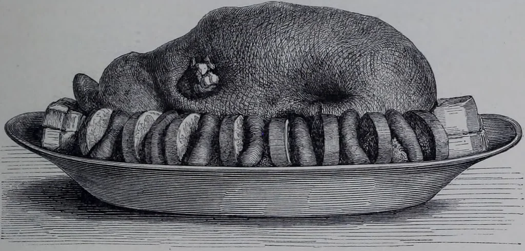 An illustration from The royal cookery book (le livre de cuisine) / by Jules Gouffé ; translated from the French and adapted for English use by Alphonse Gouffé ... comprising domestic and high-class cookery, illustrated with sixteen large plates printed in colours, and one hundred and sixty-one woodcuts from drawing from nature by E. Ronjat., 1868, leaf 181