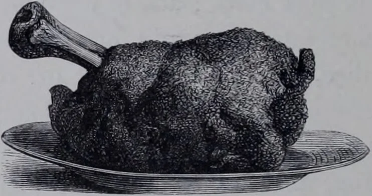 An illustration from The royal cookery book (le livre de cuisine) / by Jules Gouffé ; translated from the French and adapted for English use by Alphonse Gouffé ... comprising domestic and high-class cookery, illustrated with sixteen large plates printed in colours, and one hundred and sixty-one woodcuts from drawing from nature by E. Ronjat., 1868, leaf 188