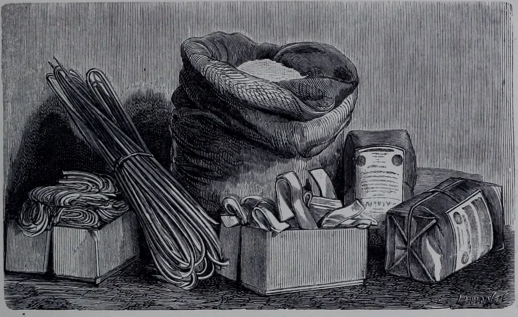 An illustration from The royal cookery book (le livre de cuisine) / by Jules Gouffé ; translated from the French and adapted for English use by Alphonse Gouffé ... comprising domestic and high-class cookery, illustrated with sixteen large plates printed in colours, and one hundred and sixty-one woodcuts from drawing from nature by E. Ronjat., 1868, leaf 247