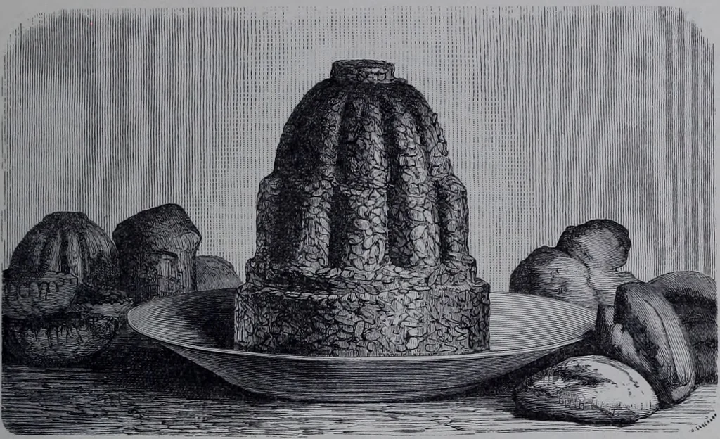 An illustration from The royal cookery book (le livre de cuisine) / by Jules Gouffé ; translated from the French and adapted for English use by Alphonse Gouffé ... comprising domestic and high-class cookery, illustrated with sixteen large plates printed in colours, and one hundred and sixty-one woodcuts from drawing from nature by E. Ronjat., 1868, leaf 263