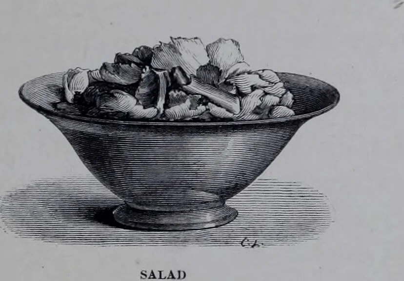 An illustration from The royal cookery book (le livre de cuisine) / by Jules Gouffé ; translated from the French and adapted for English use by Alphonse Gouffé ... comprising domestic and high-class cookery, illustrated with sixteen large plates printed in colours, and one hundred and sixty-one woodcuts from drawing from nature by E. Ronjat., 1868, leaf 285