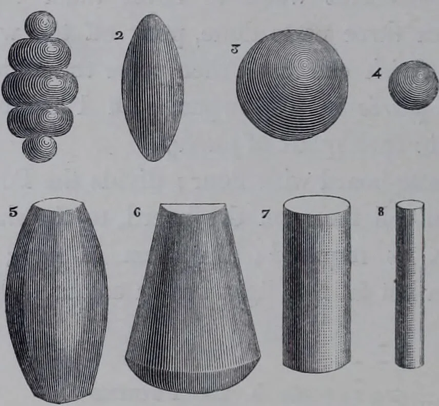 An illustration from The royal cookery book (le livre de cuisine) / by Jules Gouffé ; translated from the French and adapted for English use by Alphonse Gouffé ... comprising domestic and high-class cookery, illustrated with sixteen large plates printed in colours, and one hundred and sixty-one woodcuts from drawing from nature by E. Ronjat., 1868, leaf 382