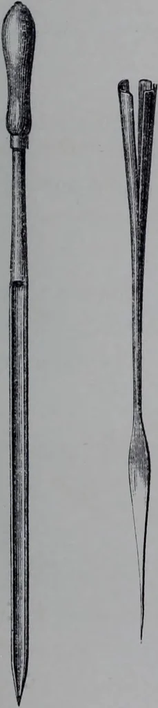 An illustration from The royal cookery book (le livre de cuisine) / by Jules Gouffé ; translated from the French and adapted for English use by Alphonse Gouffé ... comprising domestic and high-class cookery, illustrated with sixteen large plates printed in colours, and one hundred and sixty-one woodcuts from drawing from nature by E. Ronjat., 1868, leaf 39