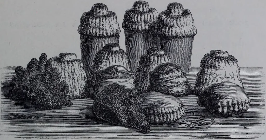 An illustration from The royal cookery book (le livre de cuisine) / by Jules Gouffé ; translated from the French and adapted for English use by Alphonse Gouffé ... comprising domestic and high-class cookery, illustrated with sixteen large plates printed in colours, and one hundred and sixty-one woodcuts from drawing from nature by E. Ronjat., 1868, leaf 397