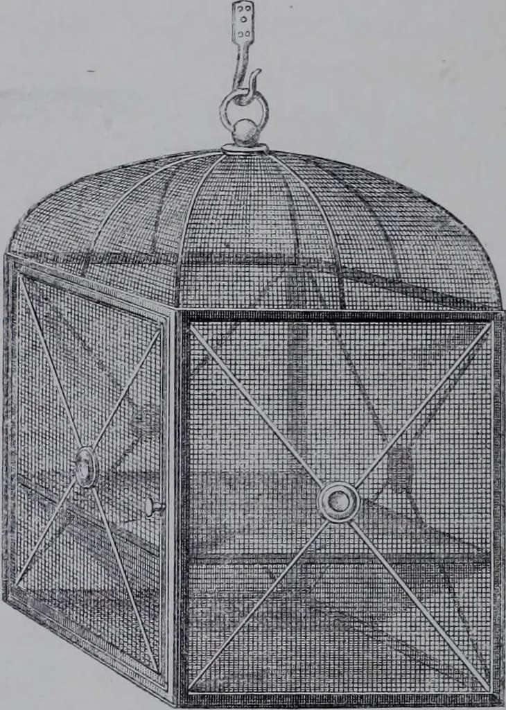 An illustration from The royal cookery book (le livre de cuisine) / by Jules Gouffé ; translated from the French and adapted for English use by Alphonse Gouffé ... comprising domestic and high-class cookery, illustrated with sixteen large plates printed in colours, and one hundred and sixty-one woodcuts from drawing from nature by E. Ronjat., 1868, leaf 42