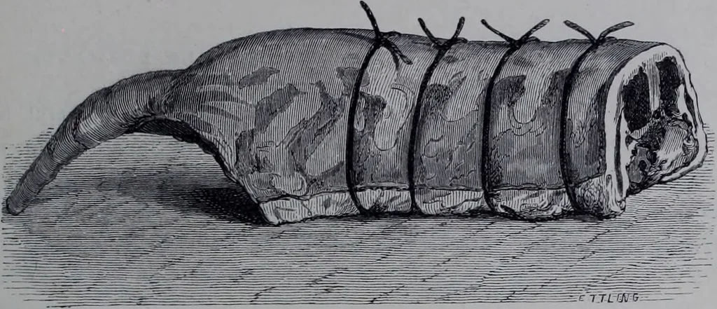 An illustration from The royal cookery book (le livre de cuisine) / by Jules Gouffé ; translated from the French and adapted for English use by Alphonse Gouffé ... comprising domestic and high-class cookery, illustrated with sixteen large plates printed in colours, and one hundred and sixty-one woodcuts from drawing from nature by E. Ronjat., 1868, leaf 459