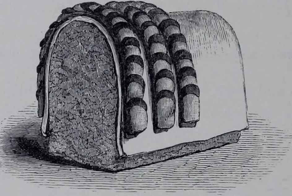 An illustration from The royal cookery book (le livre de cuisine) / by Jules Gouffé ; translated from the French and adapted for English use by Alphonse Gouffé ... comprising domestic and high-class cookery, illustrated with sixteen large plates printed in colours, and one hundred and sixty-one woodcuts from drawing from nature by E. Ronjat., 1868, leaf 530