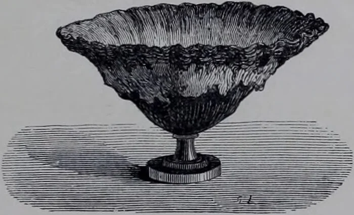 An illustration from The royal cookery book (le livre de cuisine) / by Jules Gouffé ; translated from the French and adapted for English use by Alphonse Gouffé ... comprising domestic and high-class cookery, illustrated with sixteen large plates printed in colours, and one hundred and sixty-one woodcuts from drawing from nature by E. Ronjat., 1868, leaf 575