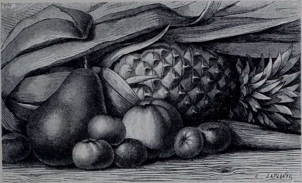 An illustration from The royal cookery book (le livre de cuisine) / by Jules Gouffé ; translated from the French and adapted for English use by Alphonse Gouffé ... comprising domestic and high-class cookery, illustrated with sixteen large plates printed in colours, and one hundred and sixty-one woodcuts from drawing from nature by E. Ronjat., 1868, leaf 699