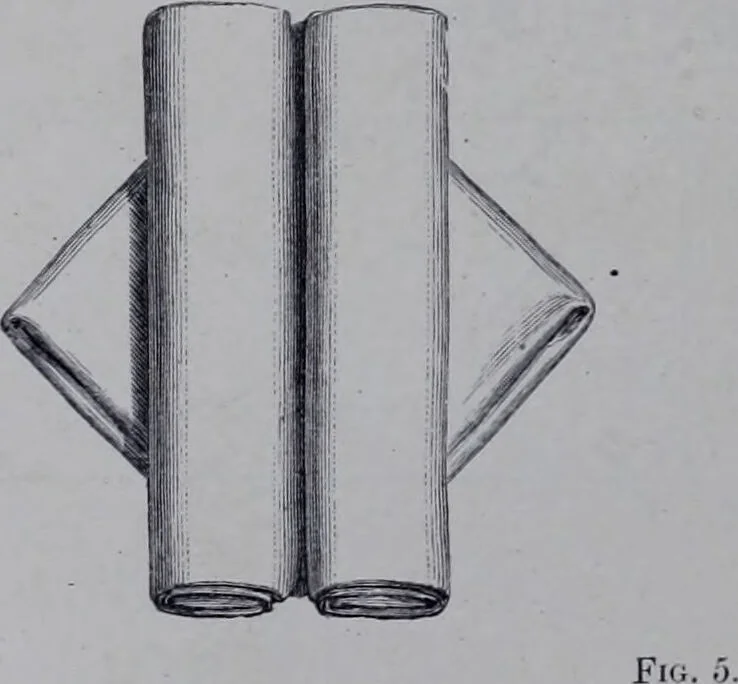 An illustration from The royal cookery book (le livre de cuisine) / by Jules Gouffé ; translated from the French and adapted for English use by Alphonse Gouffé ... comprising domestic and high-class cookery, illustrated with sixteen large plates printed in colours, and one hundred and sixty-one woodcuts from drawing from nature by E. Ronjat., 1868, leaf 730