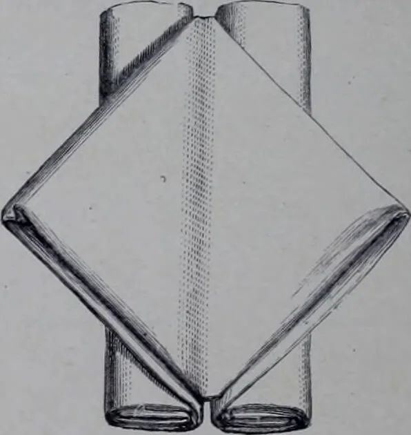 An illustration from The royal cookery book (le livre de cuisine) / by Jules Gouffé ; translated from the French and adapted for English use by Alphonse Gouffé ... comprising domestic and high-class cookery, illustrated with sixteen large plates printed in colours, and one hundred and sixty-one woodcuts from drawing from nature by E. Ronjat., 1868, leaf 730