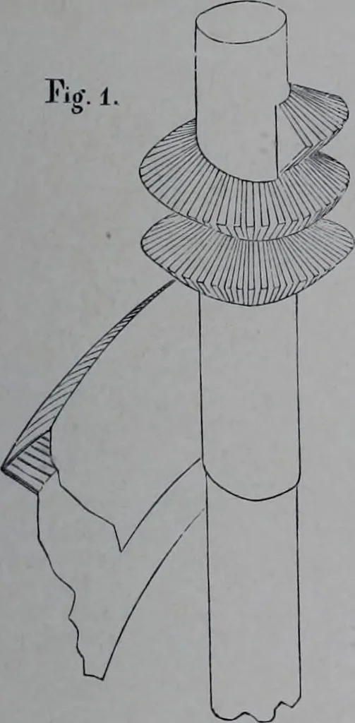 An illustration from The royal cookery book (le livre de cuisine) / by Jules Gouffé ; translated from the French and adapted for English use by Alphonse Gouffé ... comprising domestic and high-class cookery, illustrated with sixteen large plates printed in colours, and one hundred and sixty-one woodcuts from drawing from nature by E. Ronjat., 1868, leaf 733