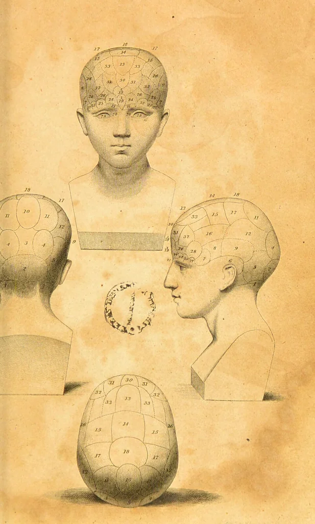 An illustration from Transactions of the Phrenological Society : instituted 22nd February 1820., 1824, leaf 73