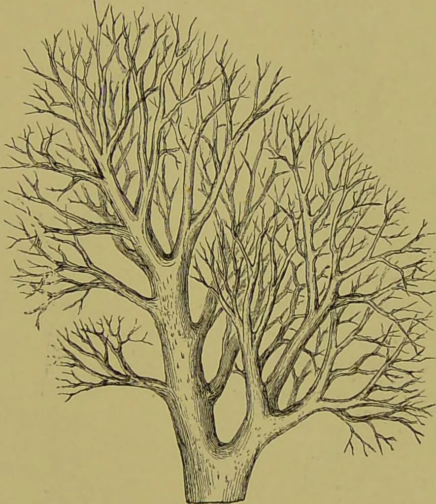 An illustration from Clinical diagnosis : the bacteriological, chemical, and microscopical evidence of disease / By Dr. Rudolf v. Jaksch, ... Translated from the third German edition and enlarged by James Cagney, ... With numerous illustrations (partly in colours)., 1893, leaf 129