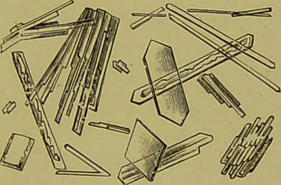 An illustration from Clinical diagnosis : the bacteriological, chemical, and microscopical evidence of disease / By Dr. Rudolf v. Jaksch, ... Translated from the third German edition and enlarged by James Cagney, ... With numerous illustrations (partly in colours)., 1893, leaf 271
