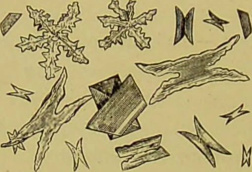 An illustration from Clinical diagnosis : the bacteriological, chemical, and microscopical evidence of disease / By Dr. Rudolf v. Jaksch, ... Translated from the third German edition and enlarged by James Cagney, ... With numerous illustrations (partly in colours)., 1893, leaf 276