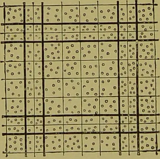 An illustration from Clinical diagnosis : the bacteriological, chemical, and microscopical evidence of disease / By Dr. Rudolf v. Jaksch, ... Translated from the third German edition and enlarged by James Cagney, ... With numerous illustrations (partly in colours)., 1893, leaf 38