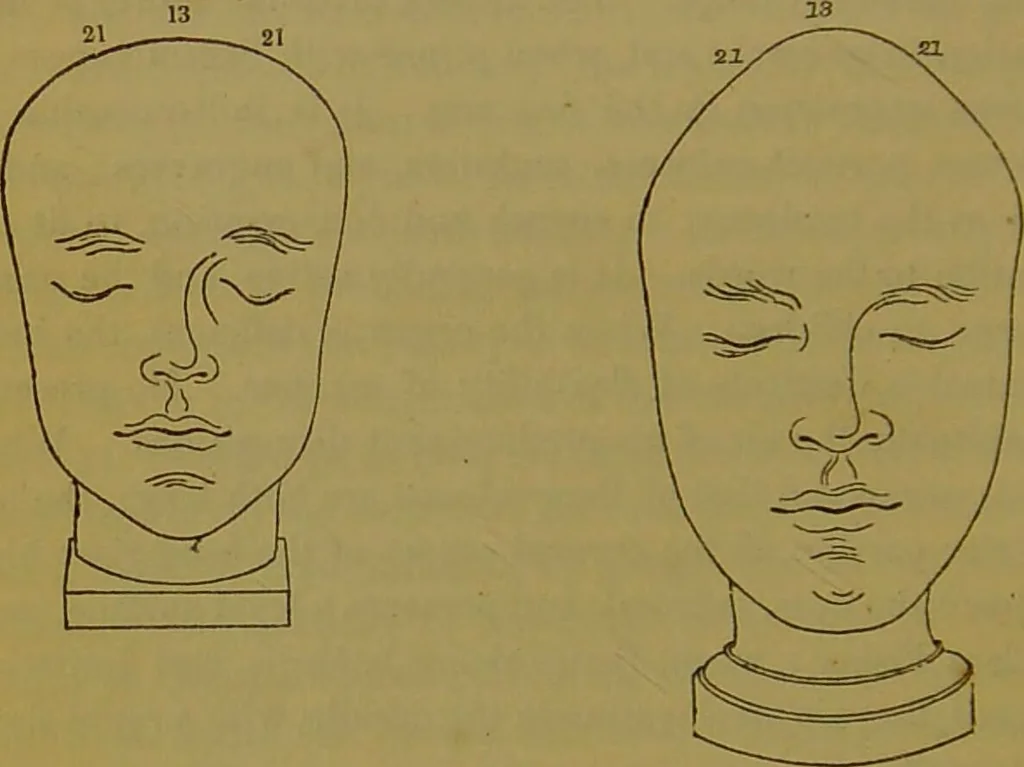 An illustration from Elements of phrenology / By George Combe., 1841, leaf 122