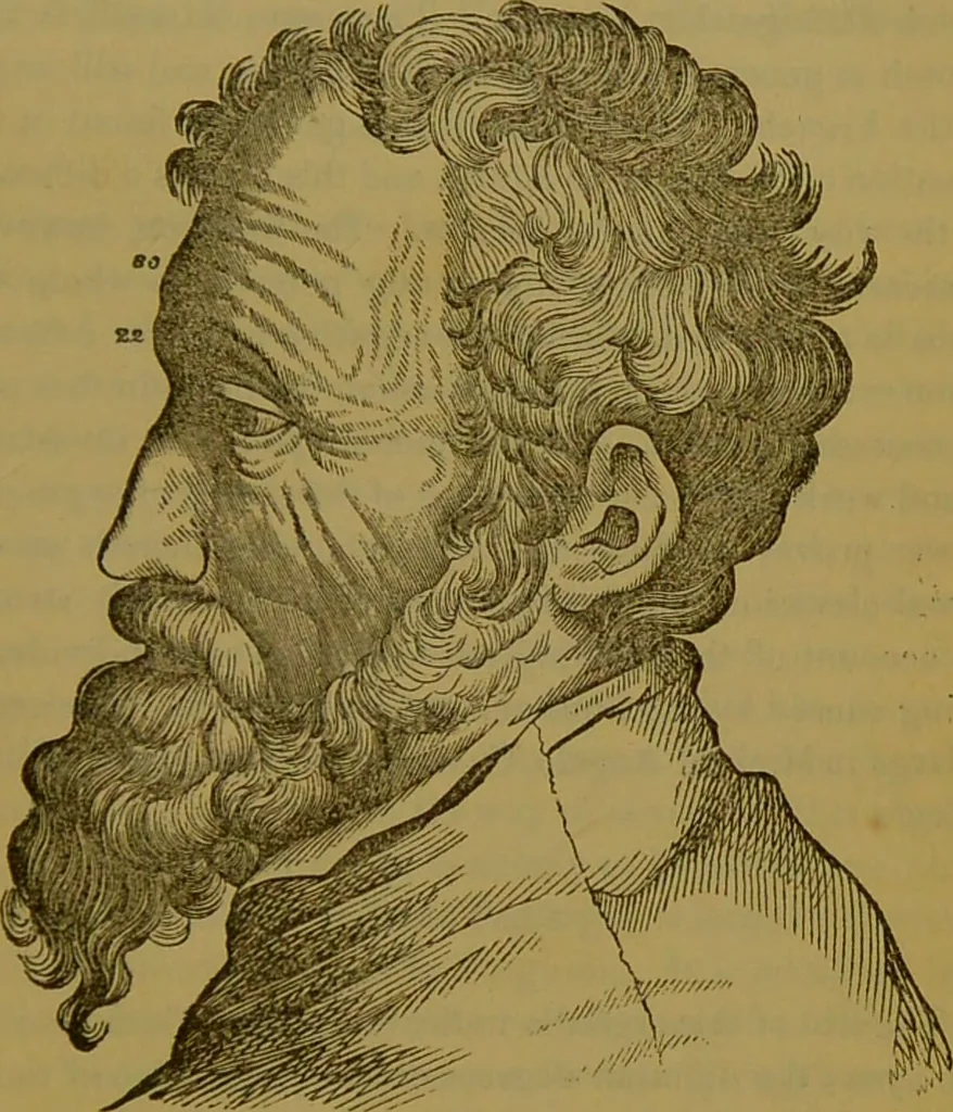 An illustration from Elements of phrenology / By George Combe., 1841, leaf 129