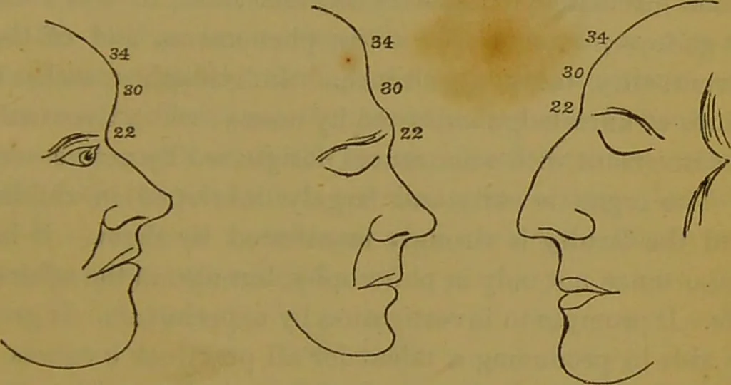An illustration from Elements of phrenology / By George Combe., 1841, leaf 139