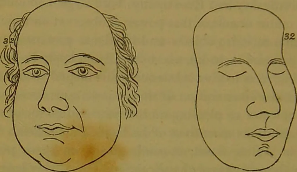 An illustration from Elements of phrenology / By George Combe., 1841, leaf 142