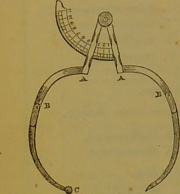 An illustration from Elements of phrenology / By George Combe., 1841, leaf 220
