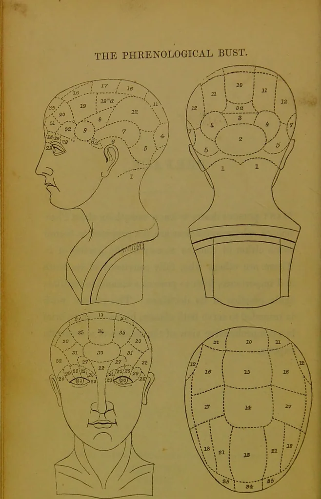 An illustration from Elements of phrenology / By George Combe., 1841, leaf 8