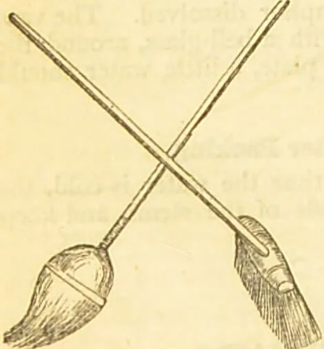 An illustration from The book of household management : comprising information for the mistress ... also, sanitary, medical, & legal memoranda; with a history of the origin, properties, and uses of all things connected with home life and comfort / by Mrs. Isabella Beeton., 1869, leaf 1098
