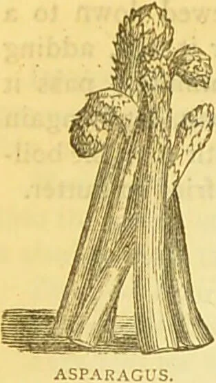 An illustration from The book of household management : comprising information for the mistress ... also, sanitary, medical, & legal memoranda; with a history of the origin, properties, and uses of all things connected with home life and comfort / by Mrs. Isabella Beeton., 1869, leaf 112
