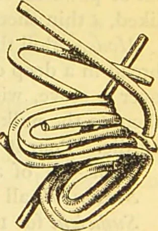 An illustration from The book of household management : comprising information for the mistress ... also, sanitary, medical, & legal memoranda; with a history of the origin, properties, and uses of all things connected with home life and comfort / by Mrs. Isabella Beeton., 1869, leaf 123
