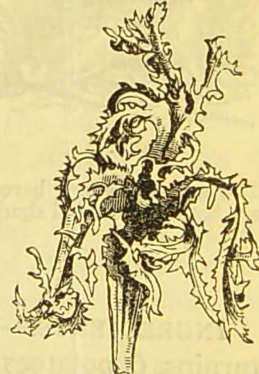 An illustration from The book of household management : comprising information for the mistress ... also, sanitary, medical, & legal memoranda; with a history of the origin, properties, and uses of all things connected with home life and comfort / by Mrs. Isabella Beeton., 1869, leaf 139