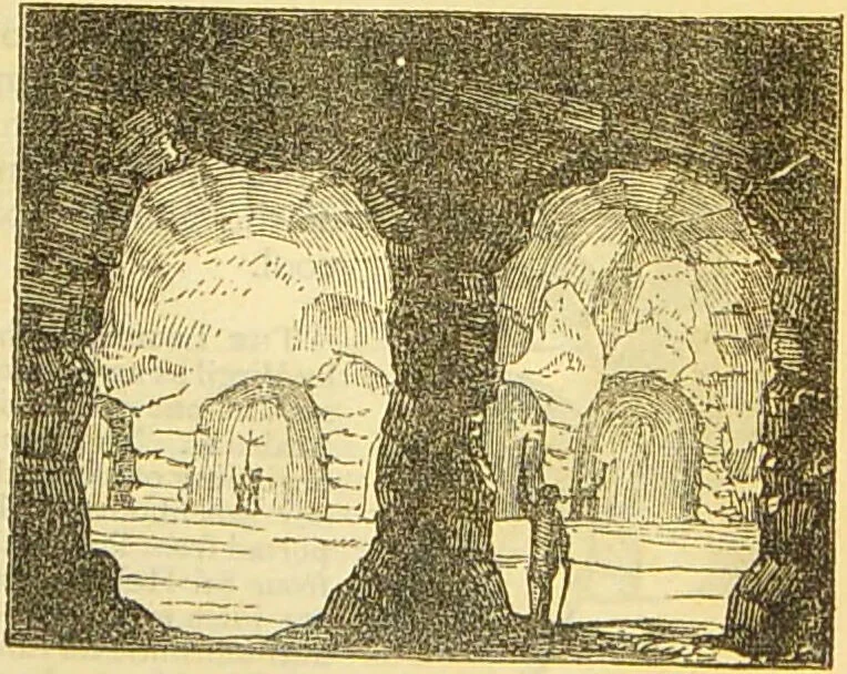 An illustration from The book of household management : comprising information for the mistress ... also, sanitary, medical, & legal memoranda; with a history of the origin, properties, and uses of all things connected with home life and comfort / by Mrs. Isabella Beeton., 1869, leaf 253