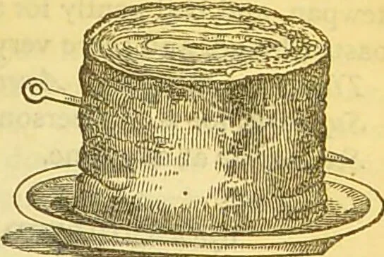 An illustration from The book of household management : comprising information for the mistress ... also, sanitary, medical, & legal memoranda; with a history of the origin, properties, and uses of all things connected with home life and comfort / by Mrs. Isabella Beeton., 1869, leaf 351