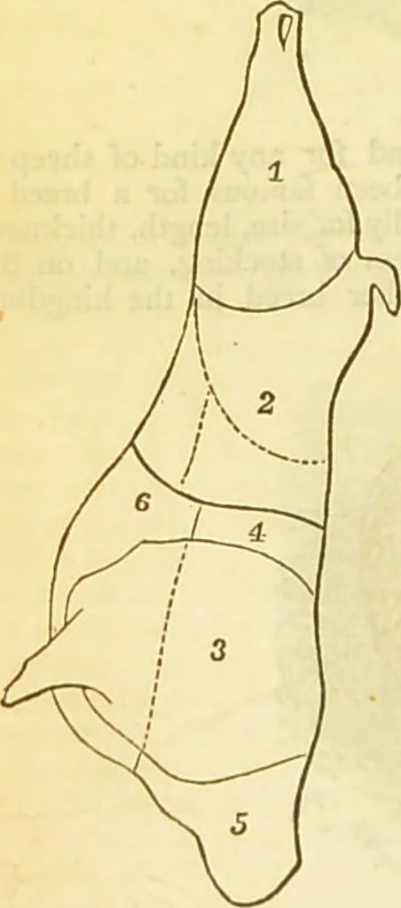 An illustration from The book of household management : comprising information for the mistress ... also, sanitary, medical, & legal memoranda; with a history of the origin, properties, and uses of all things connected with home life and comfort / by Mrs. Isabella Beeton., 1869, leaf 390