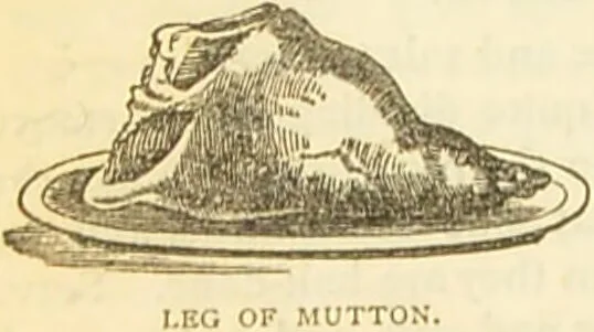 An illustration from The book of household management : comprising information for the mistress ... also, sanitary, medical, & legal memoranda; with a history of the origin, properties, and uses of all things connected with home life and comfort / by Mrs. Isabella Beeton., 1869, leaf 406