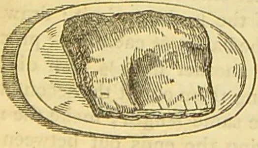 An illustration from The book of household management : comprising information for the mistress ... also, sanitary, medical, & legal memoranda; with a history of the origin, properties, and uses of all things connected with home life and comfort / by Mrs. Isabella Beeton., 1869, leaf 453