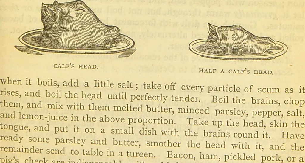 An illustration from The book of household management : comprising information for the mistress ... also, sanitary, medical, & legal memoranda; with a history of the origin, properties, and uses of all things connected with home life and comfort / by Mrs. Isabella Beeton., 1869, leaf 481