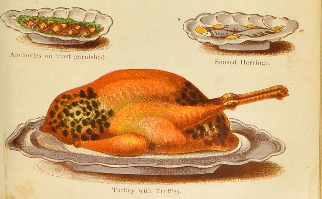 An illustration from The book of household management : comprising information for the mistress ... also, sanitary, medical, & legal memoranda; with a history of the origin, properties, and uses of all things connected with home life and comfort / by Mrs. Isabella Beeton., 1869, leaf 541