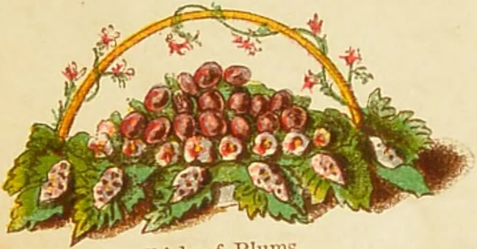 An illustration from The book of household management : comprising information for the mistress ... also, sanitary, medical, & legal memoranda; with a history of the origin, properties, and uses of all things connected with home life and comfort / by Mrs. Isabella Beeton., 1869, leaf 6