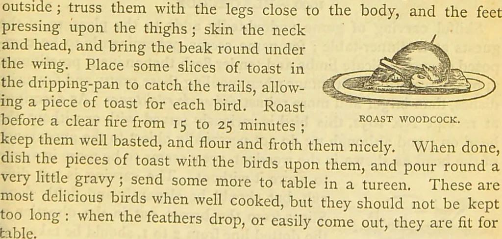 An illustration from The book of household management : comprising information for the mistress ... also, sanitary, medical, & legal memoranda; with a history of the origin, properties, and uses of all things connected with home life and comfort / by Mrs. Isabella Beeton., 1869, leaf 613