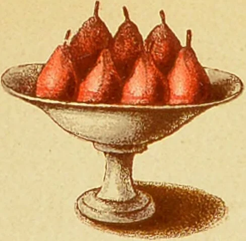 An illustration from The book of household management : comprising information for the mistress ... also, sanitary, medical, & legal memoranda; with a history of the origin, properties, and uses of all things connected with home life and comfort / by Mrs. Isabella Beeton., 1869, leaf 627