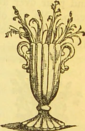 An illustration from The book of household management : comprising information for the mistress ... also, sanitary, medical, & legal memoranda; with a history of the origin, properties, and uses of all things connected with home life and comfort / by Mrs. Isabella Beeton., 1869, leaf 645