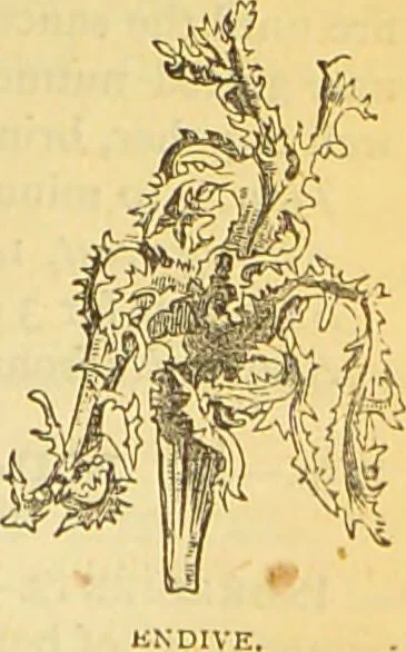 An illustration from The book of household management : comprising information for the mistress ... also, sanitary, medical, & legal memoranda; with a history of the origin, properties, and uses of all things connected with home life and comfort / by Mrs. Isabella Beeton., 1869, leaf 649