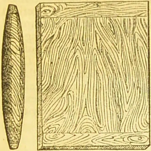 An illustration from The book of household management : comprising information for the mistress ... also, sanitary, medical, & legal memoranda; with a history of the origin, properties, and uses of all things connected with home life and comfort / by Mrs. Isabella Beeton., 1869, leaf 690
