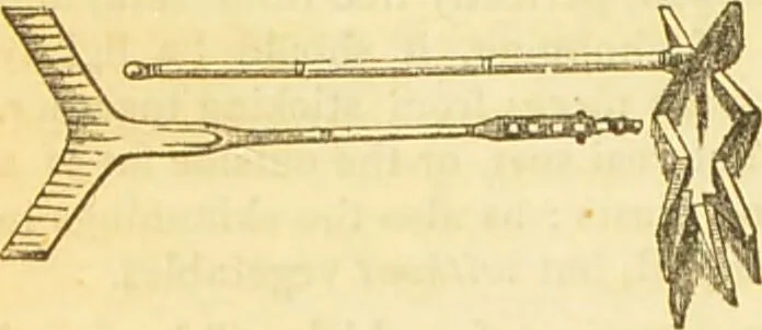 An illustration from The book of household management : comprising information for the mistress ... also, sanitary, medical, & legal memoranda; with a history of the origin, properties, and uses of all things connected with home life and comfort / by Mrs. Isabella Beeton., 1869, leaf 690