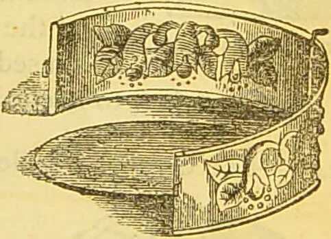 An illustration from The book of household management : comprising information for the mistress ... also, sanitary, medical, & legal memoranda; with a history of the origin, properties, and uses of all things connected with home life and comfort / by Mrs. Isabella Beeton., 1869, leaf 691