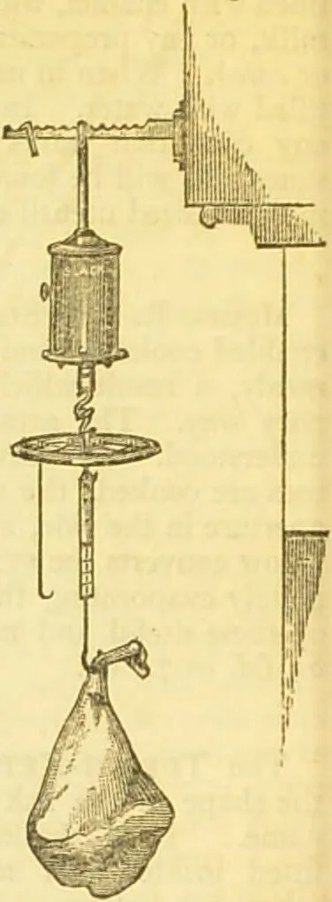 An illustration from The book of household management : comprising information for the mistress ... also, sanitary, medical, & legal memoranda; with a history of the origin, properties, and uses of all things connected with home life and comfort / by Mrs. Isabella Beeton., 1869, leaf 76